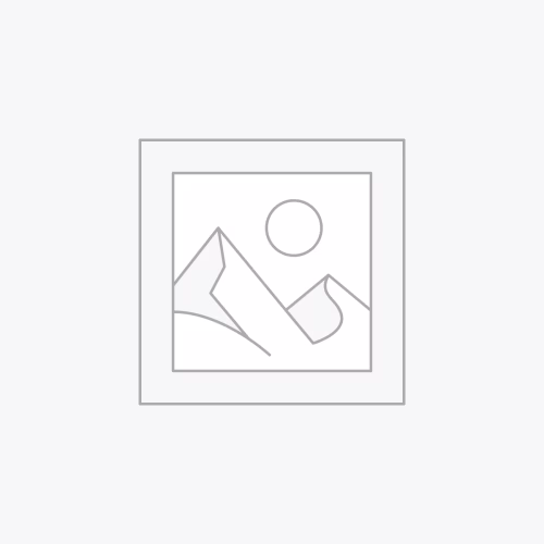 Database